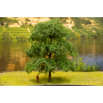 baum_14_22__hlau_16_ks_ku1_von_7