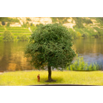 baum_14_22_dlau_15_ku_ku2_von_7